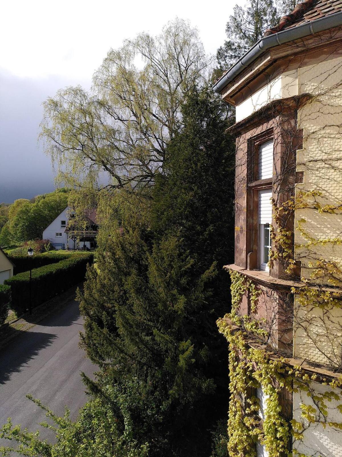 Chez Jeanne A La Villa Gruber La Petite-Pierre Kültér fotó