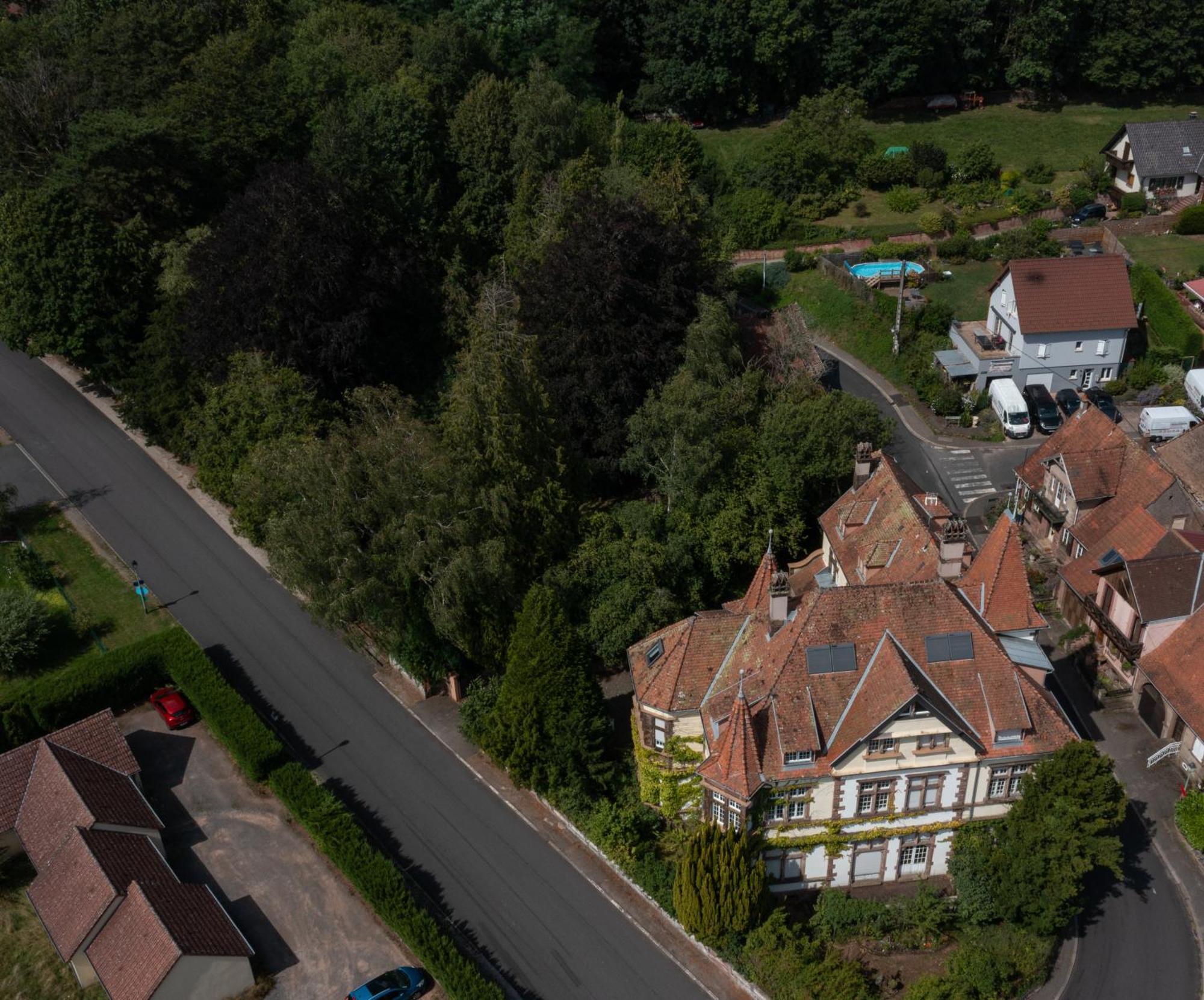 Chez Jeanne A La Villa Gruber La Petite-Pierre Kültér fotó